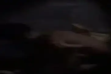 Subuh Tadi Ada Suara Plok Plok
